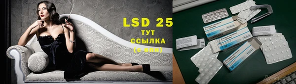 винт Богданович