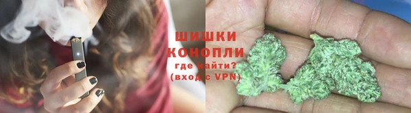 винт Богданович